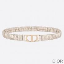 Dior 30 Montaigne Stretch Belt Pleated Lambskin Gold/Gold - Dior Bag Outlet Official