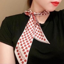 Dior Mitzah Twill Dots Motif Silk Red - Dior Bag Outlet Official
