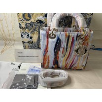 Dior Medium Lady Dior Art Bag Multicolor