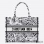 Dior Book Tote Plan de Paris Motif Canvas White - Dior Bag Outlet Official